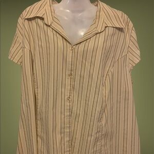 Button up shirt